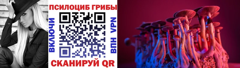ОМГ ОМГ ссылка  Таруса  Псилоцибиновые грибы ЛСД 