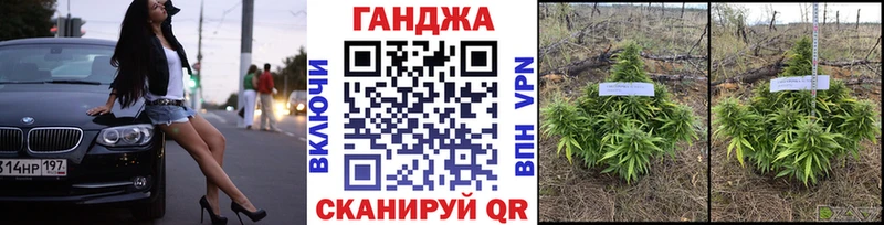 Конопля план  Таруса 